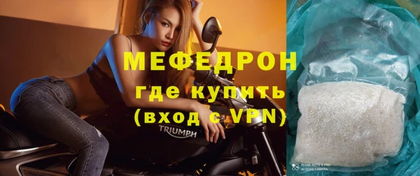 индика Пестово