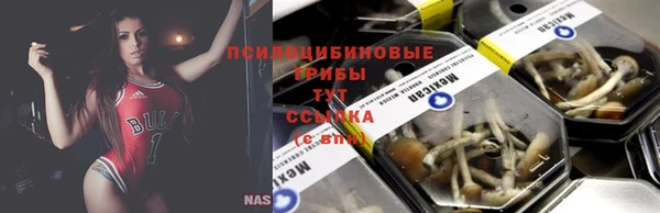 тгк Абдулино