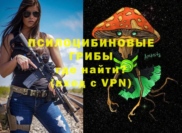 ГАЛЛЮЦИНОГЕННЫЕ ГРИБЫ Остров